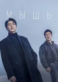 Мышь (2010) 1-14 сезон сериал смотреть онлайн бесплатно