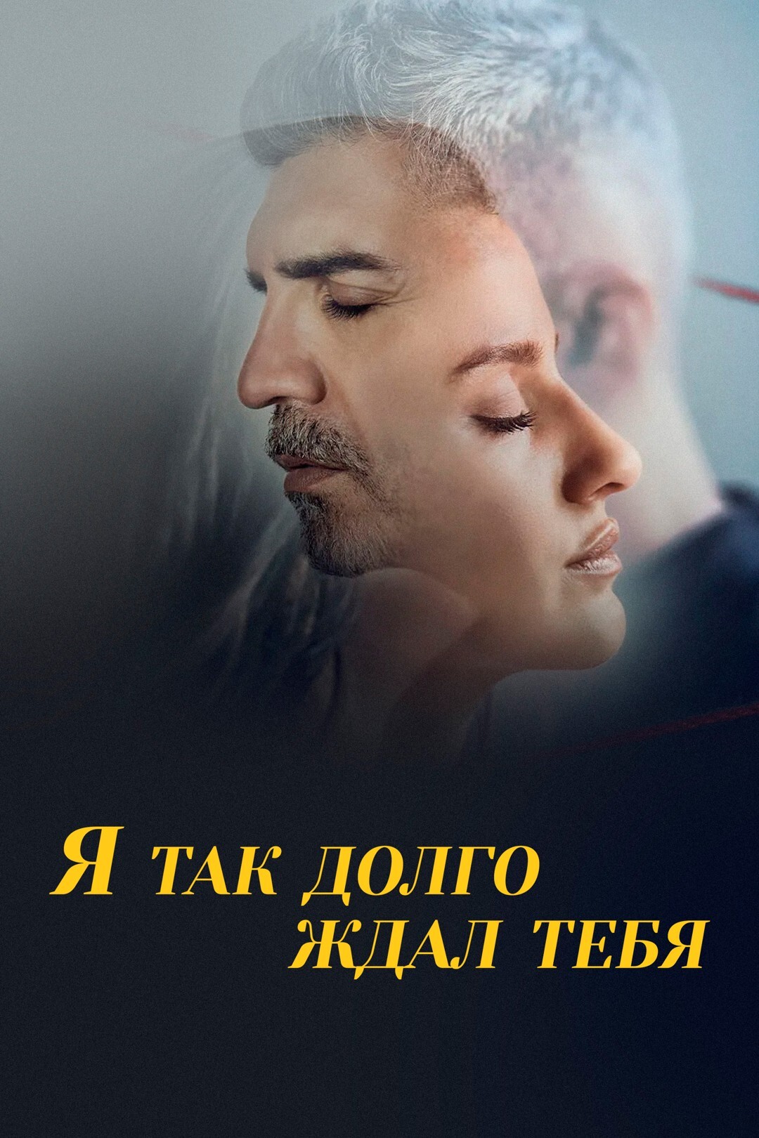 Я так долго ждал тебя (2010) 1-14 сезон сериал смотреть онлайн бесплатно