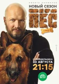 Пёс (2010) 1-14 сезон сериал смотреть онлайн бесплатно