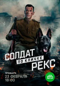 Солдат по кличке Рекс (2010) 1-14 сезон сериал смотреть онлайн бесплатно